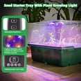 thumbnail image 4 of 5-Pack Seed Starter Kit with LED Grow Lights Indoor Propagation Trays with Adjustable Humidity Dome & Clear Seedling Trays Mini Greenhouse Seed Starting Set for Plants Vegetables Herbs Flowers, 4 of 7