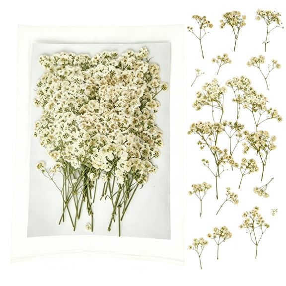 Topboutique Dried Pressed Babys Breath Flowers Bulk,50 Pcs Dried Flowers for Resin,White Gypsophila Branches Bouquet for Frame Art, Scrapbooking, Wedding Invitation