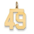 thumbnail image 1 of Beautiful 14k Medium Polished Number 49 Charm, 1 of 1