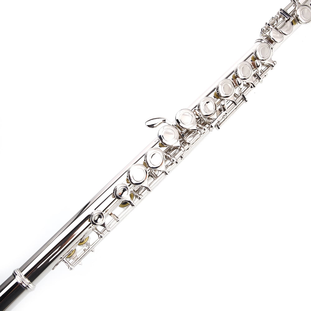 Nickel Plated C Closed Hole Concert Band Flute Silver