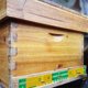 thumbnail image 4 of Bee Hive Entrance Reducer, Beekeeping Supplies Adjustable Beehive Entrance Gate Plastic Mouse Guards Bees Entrance Reducers 31.5cm, 4 of 4
