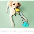 thumbnail image 5 of Juguete para perros con ventosa, cuerdas elásticas para empujar, limpieza de dientes de mascotas, golosina para masticar para cachorros -A, 5 of 5