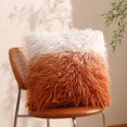 thumbnail image 1 of SASHENHG Fall Thanksgiving Furry Pillow Cover Sofa Holidays Home Decoration, 1 of 7