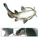 thumbnail image 3 of Fiudx Ofertas flash Artículos en oferta Simulación colorida de animales del mundo marino, traje, modelo, adornos, bagre, 3 of 3