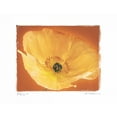 thumbnail image 2 of Amy Melious 14x12 White Modern Wood Framed Wall Art Titled - Poppy I, 2 of 5