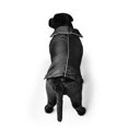 thumbnail image 3 of Winter Design Waterproof Pet Dogs Keep Warm Clothing Soft Cotton Vest, 3 of 8