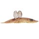 thumbnail image 2 of Owl Figurine Decorative Animal Leaf Statue Home Decoration Resin 1Set, 2 of 5