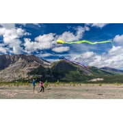 Prism Bora 7 Single Line Kite, Jade