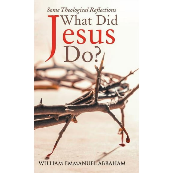 What Did Jesus Do? : Some Theological Reflections