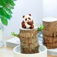 thumbnail image 6 of Latrodar Brazilian Wood Brazilian Wood Hydroponic Decoration Brazilian Wood Decoration And Tabletop Decoration Decorations Home Needs F Resin up to 65% Off, 6 of 7