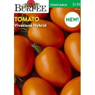 Burpee Vivacious Hybrid Tomato Vegetable Seed