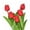 A3, variant on 10 Pack | 13" Single Stem Real Touch Tulips Artificial Flowers Wedding Bouquet Home Décor party