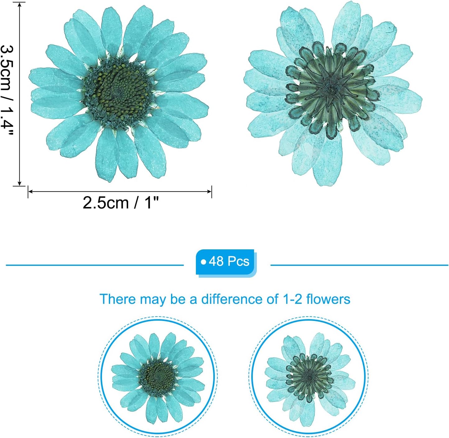 Dalrosia 48PCS Dried Daisy Flower, Vacuum Packaging, Pressed Flower for House Decoration, Jewelry Making, Phone case Decoration