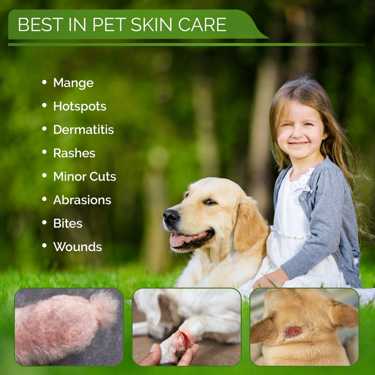 Dog skin hotsell care home remedies