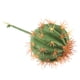 thumbnail image 5 of Planta Artificial, Planta De Plástico Simulada, Plástico Para Oficina De Habitación ANGGREK ACJY19, 5 of 8