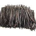 26 Count Tahitian Vanilla Beans Grade B Extract Exclusive Bulk, 4"6