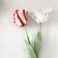 thumbnail image 3 of Flor artificial hidratante de tacto real, tulipán loro 3D, flor de seda única, decoración para el hogar, bonsái, arreglo floral, ramo de flores falsas, 3 of 6