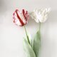 thumbnail image 4 of Flor artificial hidratante de tacto real, tulipán loro 3D, flor de seda única, decoración para el hogar, bonsái, arreglo floral, ramo de flores falsas, 4 of 6