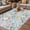 Light Blue, variant on Sage Green Spring Floral Outdoor Rug for Patio/Deck, Non-Slip Large Area Rug 4 x 6 Ft, Elegant Farmhouse Flowers Birds Watercolor Indoor Outdoor Rugs Washable Area Rugs, Camping Rug Carpet Runner