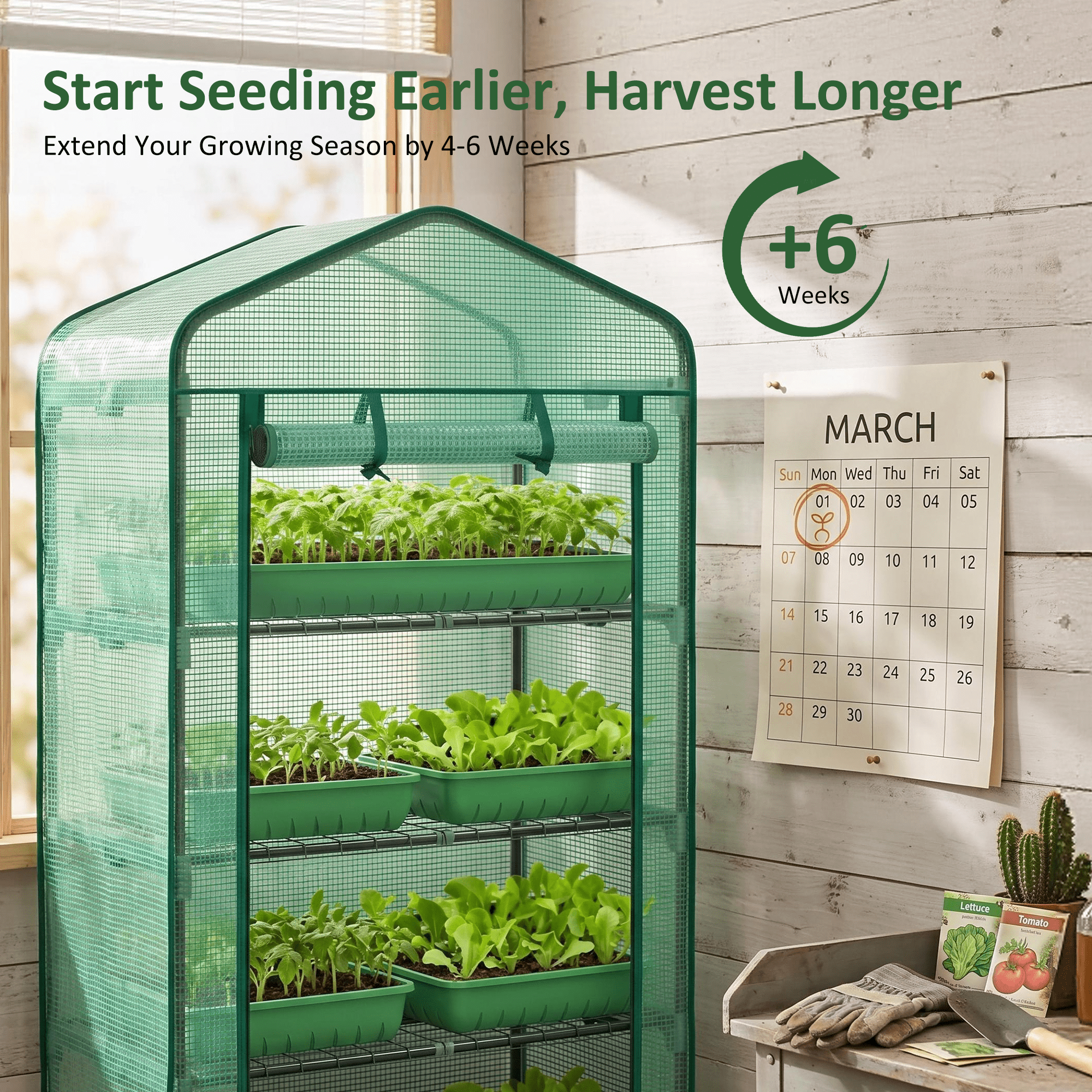 LIFERECORD 4 Tier Mini Greenhouse - Portable Greenhouse with PE Cover for Indoor or Outdoor, 27" x 19" x 65" Green House for Home, Green