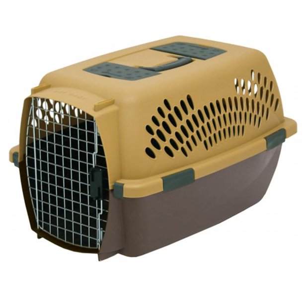 Medium To Large Fashion Pet Taxi