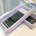 thumbnail image 2 of DIYDAY W Shape Eyelashes Extensions W Shaped Bloom 3d 4d 5d 6d 7d 8d Eye Lashes Natural Soft Premade Fan Lash Extensions, 2 of 5