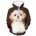 thumbnail image 3 of Sudadera con capucha con estampado 3D de perro Shih Tzu para hombre y niño, sudadera con capucha de manga larga, ropa informal de calle de gran tamaño, 3 of 5