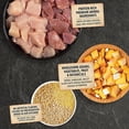 thumbnail image 2 of Wholesome Grains Puppy Recipe with Real Chicken, Eggs and Turkey Dry Food 11.5 lbs., 2 of 2
