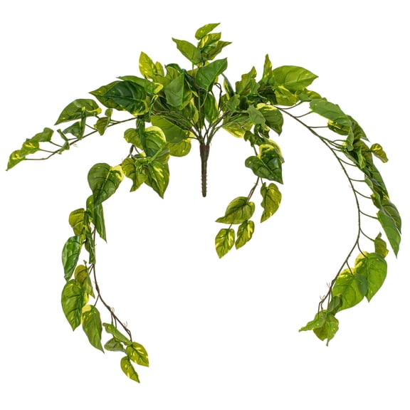 Vickerman 40" Artificial Pothos Hanging Bush.