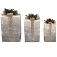 thumbnail image 4 of Northlight Set of 3 Silver Mesh Glittered Gift Boxes Outdoor Decorations, 4 of 6