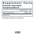 thumbnail image 2 of Vital Nutrients Vitamin C 1000mg (100% Pure Ascorbic Acid) | Vegan Antioxidant Supplement for Immune Support and Iron Absorption | Gluten, Dairy and Soy Free | Non-GMO | 120 Capsules, 2 of 5
