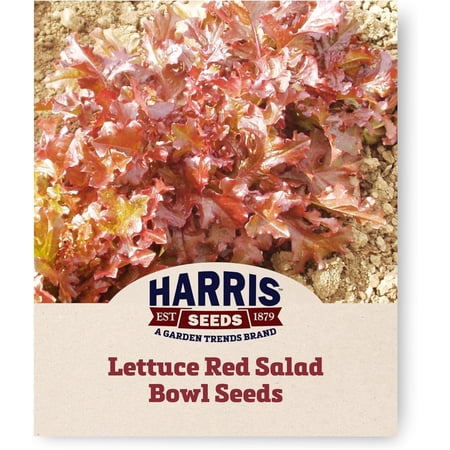 Harris Seeds - Lettuce Red Salad Bowl Seeds - 250 Seeds