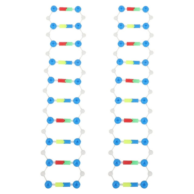 Shisuyan 2pcs Dna Double Helix Model Components Educational Teaching Model Dna Teaching Molecular Model Self-Assembling Model Dna Model Kit
