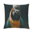 thumbnail image 2 of Ahgly Company Animals Parrot Indoor Throw Pillow, 18 inch by 18 inch, 2 of 6