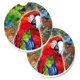thumbnail image 1 of ""Caroline'S Treasures Bird - Loro Juego De 2 Posavasos Para Coche Con Portavasos 8606Carc 2.56 Multicolor"", 1 of 1