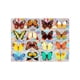 thumbnail image 1 of Rainbow Maker Window Cling, Película para ventanas, Vinilo para ventanas, Etiqueta engomada de vidrio, Calcomanía de ventana de mariposa para cocina Estilo B, 1 of 8
