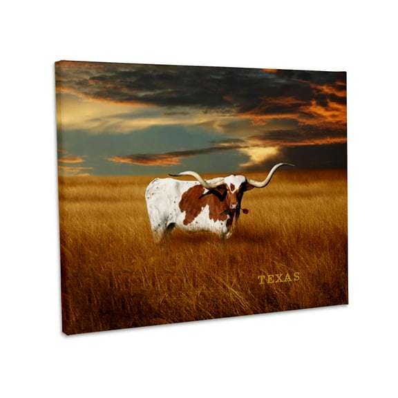 3dRose, A Texas Longhorn, Museum Grade Canvas Wrap 14x11