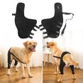 thumbnail image 2 of CSChome Pet Protective Gear For Elderly Pets 1 Pair Pet Protective Gear Soft Breathable Adjustable Supportive Leg Braces Dogs Recovery Suit, 2 of 6