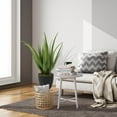 thumbnail image 3 of Artificial Aloe Fake Plant with Black Planter for Indoor Outdoor Decor, 3 of 6