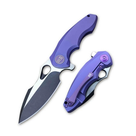- WE Knife Folder Blue Handle Black 3