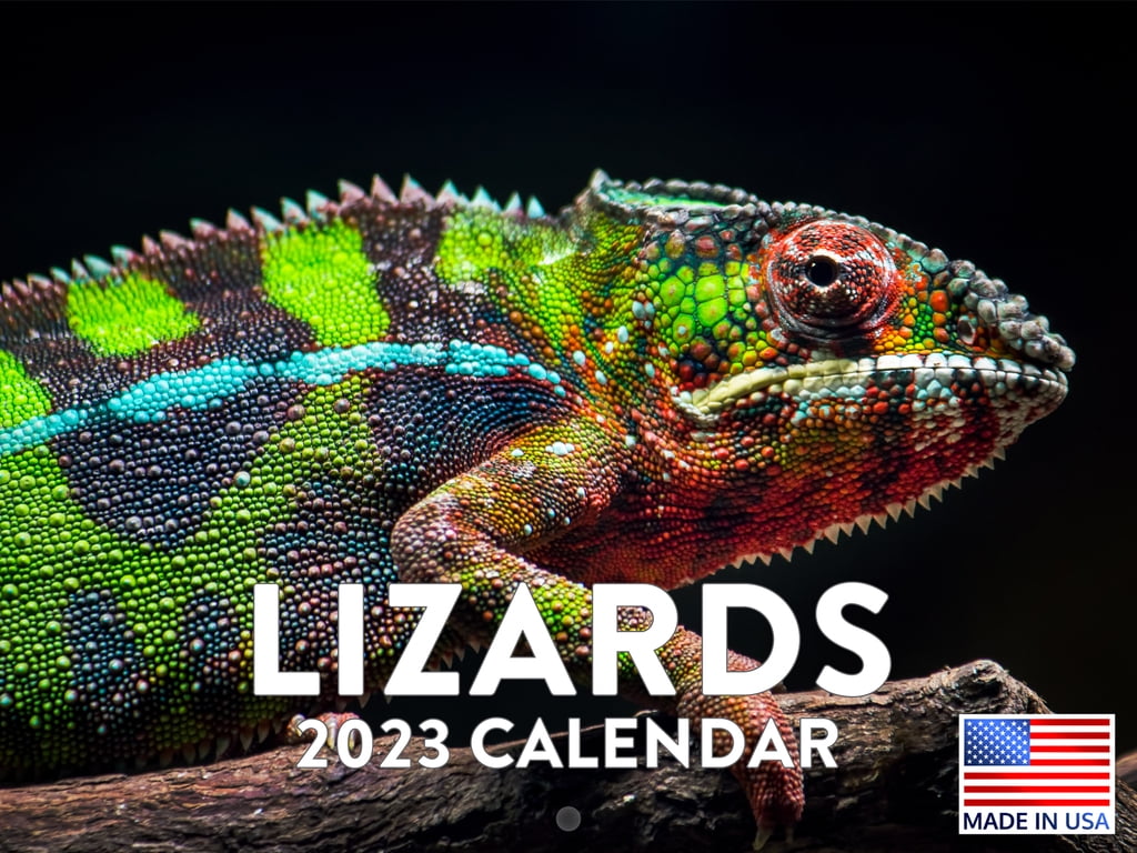 Lizard Calendar 2023 Monthly Wall Hanging Calendars Wild Animal Pet