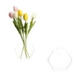 thumbnail image 1 of Hexagon Shape Wall Hanging Vase Transparent Plant Flower Pot, 1 of 5