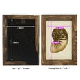 thumbnail image 4 of Sealife Collection V - Framed Print w/glass - Walnut, 4 of 8