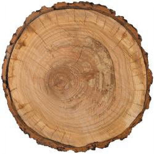 American Craft Pebbles Warm And Cozy Collection 12 X 12 Die Cut Paper Tree Trunk