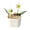 D, variant on Miniature Glass Flower Figurine, Collectible Blooming Flower Ornament for Home Indoor Table Decor