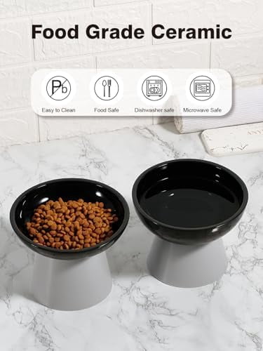 Elevated Cat Food and Water Bowls Set, Extra Wide and Raised Ceramic Feeder, Anti-Vomit Whisker-Free Pressure Feeding Bowl for Kittens Adult Small Dogs (Black, Food Bowl)