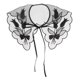 thumbnail image 2 of cuello falso floral Sunnimix gasa desmontable negro 02, 2 of 8