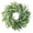 B, variant on 24" Eucalyptus Wreath for Front Door - Large Artificial Greenery Outdoor Wreath for Porch, Window,Farmhouse,Home,Holiday,Hanging Decor- Spring, Summer, Fall, All Seasons (Green)