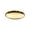 Gold, variant on Thickened Stainless Steel Flat Pet Dish for Flat-Faced Cats and Small Dogs – Anti-Slip Shallow Feeding Plate for Kittens,Easy to Clean Metal Tray,Size S