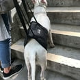 thumbnail image 3 of Pet Safety Care  Assistive Belt For Elderly Disabled And Injured Dogs  For Hind Legs  Buttocks Support Harness, 3 of 6